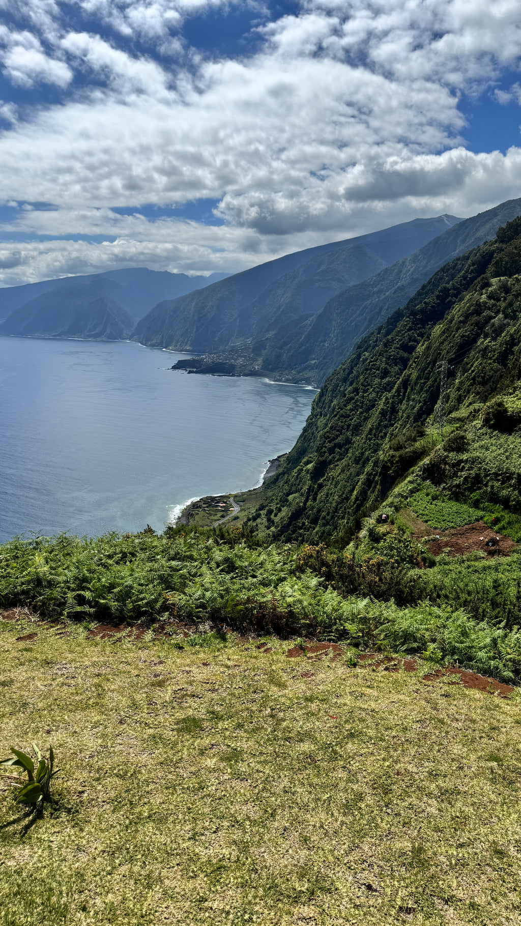 Wycieczka na Maderę – 7 dni przygody i relaksu (Październik 2026)